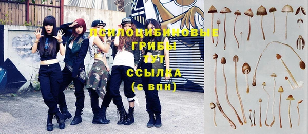а пвп мука Алзамай
