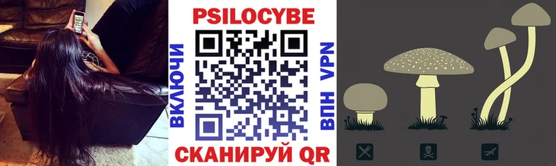 Галлюциногенные грибы прущие грибы  Чкаловск 